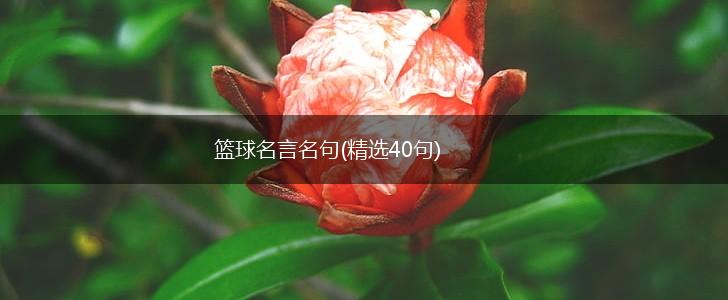 篮球名言名句(精选40句),第1张 篮球名言名句(精选40句),第1张