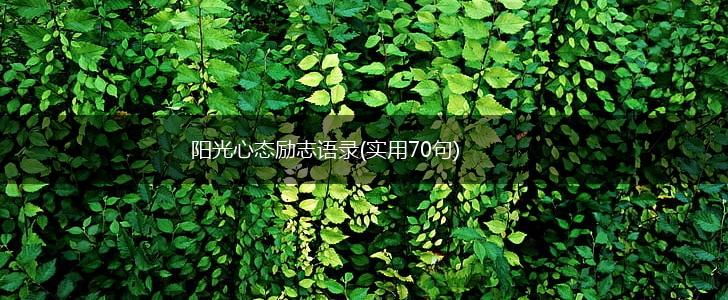 阳光心态励志语录(实用70句),第1张