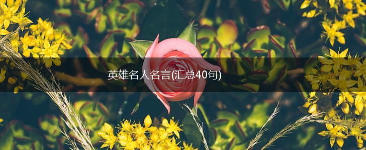 英雄名人名言(汇总40句),第1张