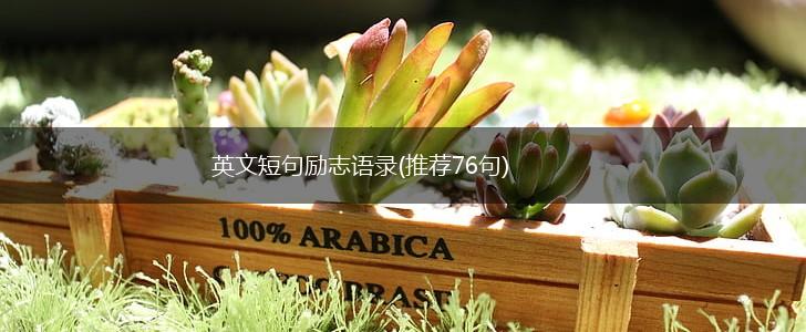 英文短句励志语录(推荐76句),第1张