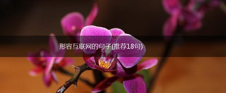 形容互联网的句子(推荐18句),第1张