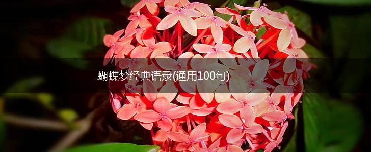 蝴蝶梦经典语录(通用100句),第1张