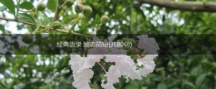 经典语录 励志简短(共80句),第1张
