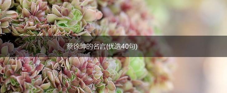 蔡徐坤的名言(优选40句),第1张