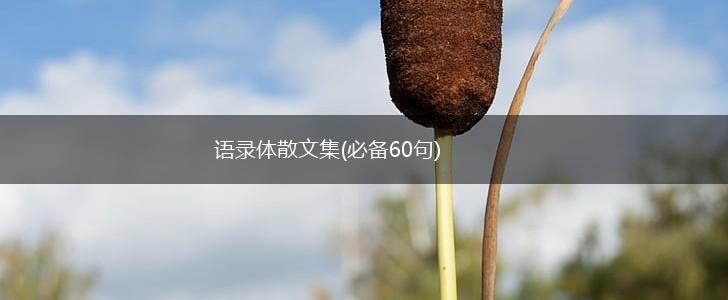 语录体散文集(必备60句),第1张
