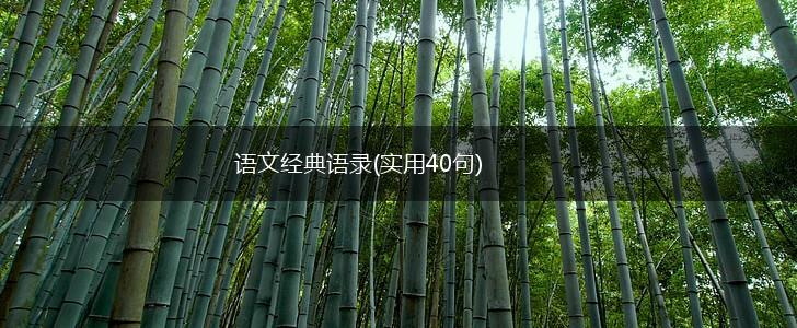 语文经典语录(实用40句),第1张