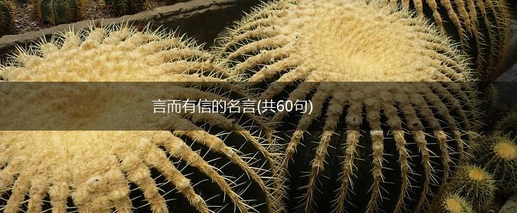 言而有信的名言(共60句),第1张 言而有信的名言(共60句),第1张