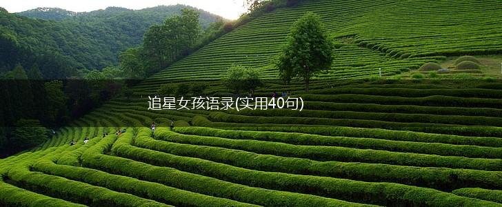 追星女孩语录(实用40句),第1张