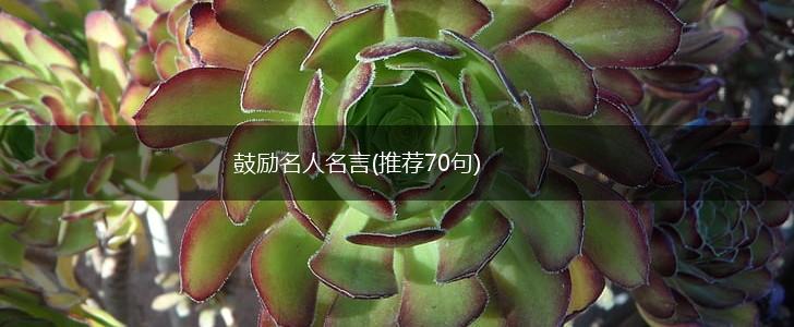 鼓励名人名言(推荐70句),第1张