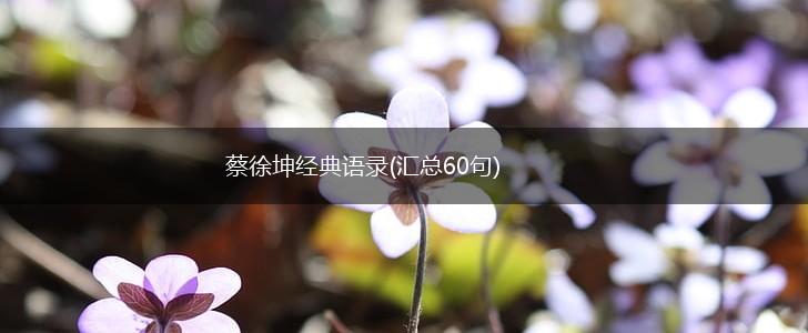 蔡徐坤经典语录(汇总60句),第1张