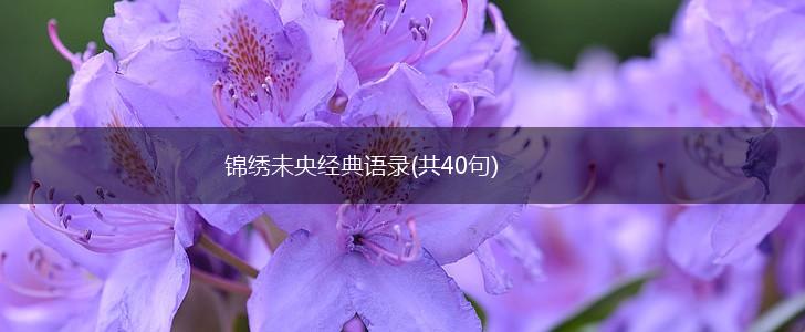 锦绣未央经典语录(共40句),第1张