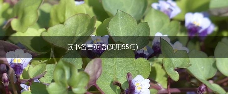 读书名言英语(实用95句),第1张