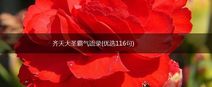 齐天大圣霸气语录(优选116句),第1张