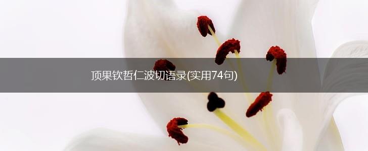 顶果钦哲仁波切语录(实用74句),第1张