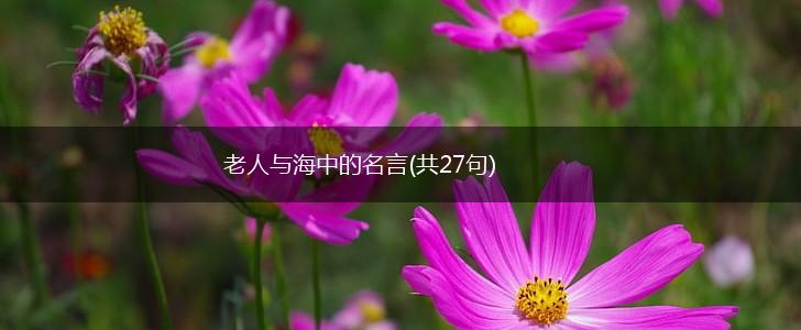 老人与海中的名言(共27句),第1张 老人与海中的名言(共27句),第1张