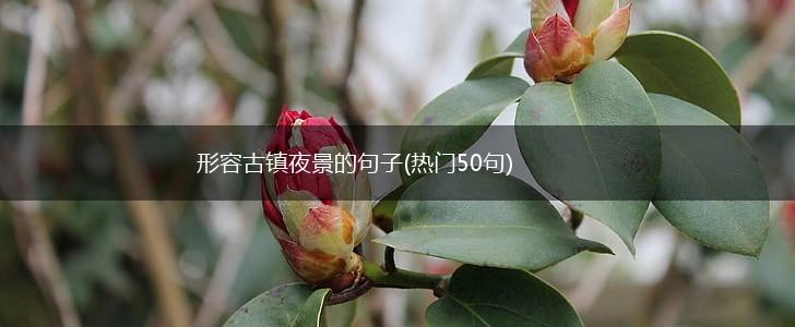形容古镇夜景的句子(热门50句),第1张