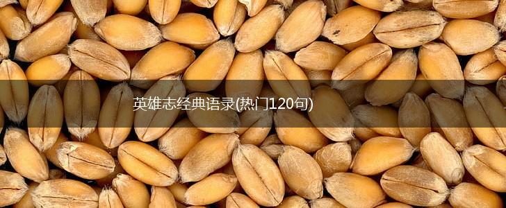 英雄志经典语录(热门120句),第1张