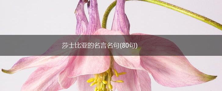 莎士比亚的名言名句(80句),第1张 莎士比亚的名言名句(80句),第1张