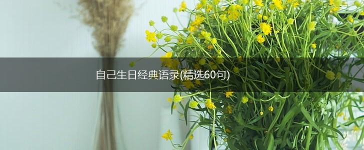 自己生日经典语录(精选60句),第1张