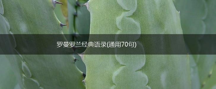 罗曼罗兰经典语录(通用70句),第1张