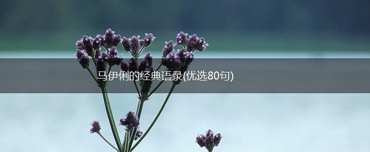 马伊俐的经典语录(优选80句),第1张