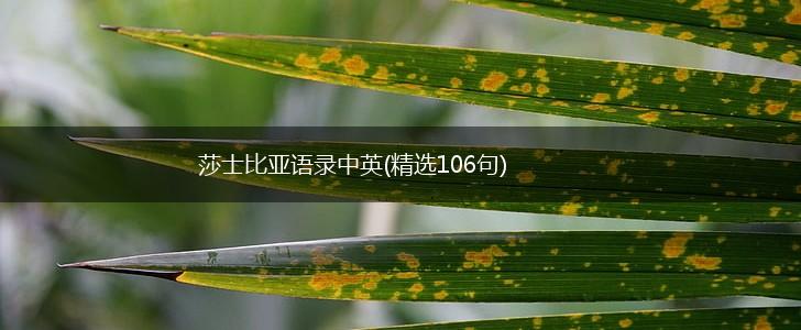 莎士比亚语录中英(精选106句),第1张