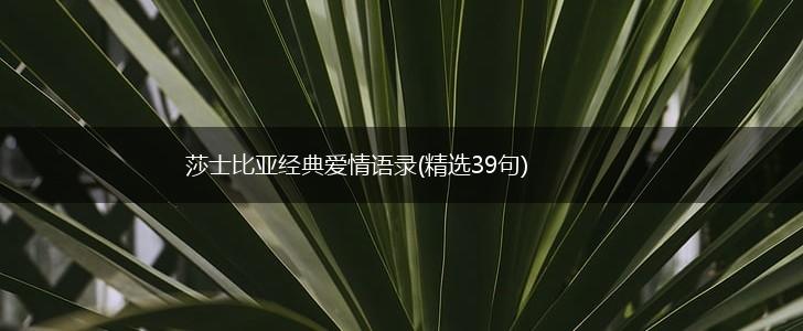 莎士比亚经典爱情语录(精选39句),第1张