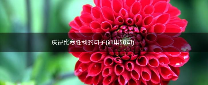 庆祝比赛胜利的句子(通用50句),第1张