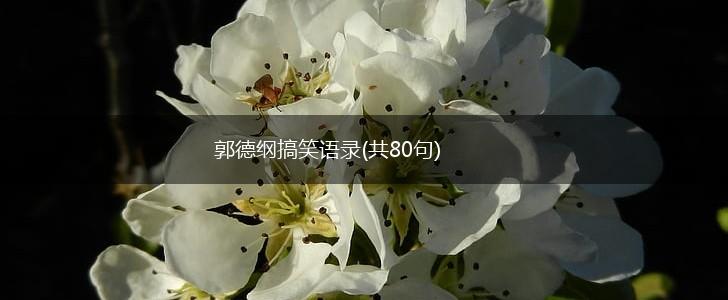 郭德纲搞笑语录(共80句),第1张