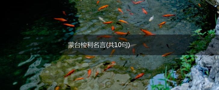 蒙台梭利名言(共10句),第1张