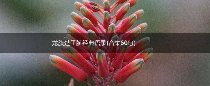 龙族楚子航经典语录(合集60句),第1张