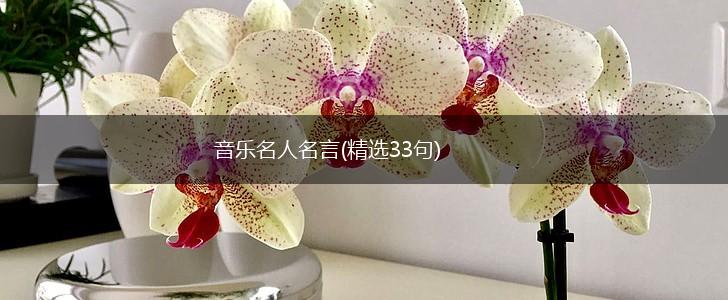 音乐名人名言(精选33句),第1张