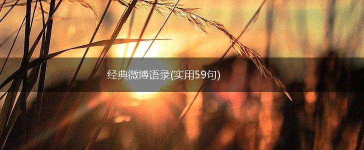 经典微博语录(实用59句),第1张