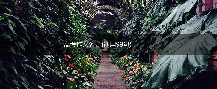 高考作文名言(通用99句),第1张