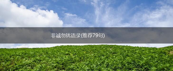 非诚勿扰语录(推荐79句),第1张