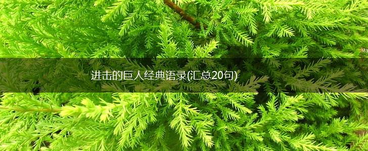 进击的巨人经典语录(汇总20句),第1张
