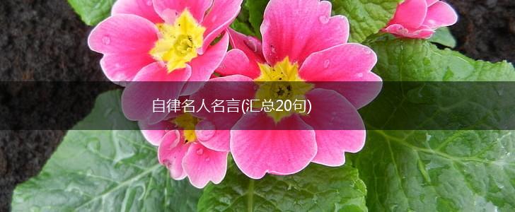 自律名人名言(汇总20句),第1张 自律名人名言(汇总20句),第1张