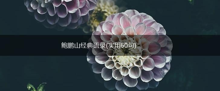 鲍鹏山经典语录(实用60句),第1张