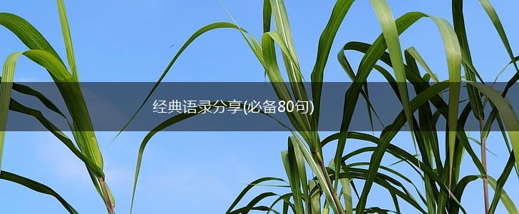 经典语录分享(必备80句),第1张
