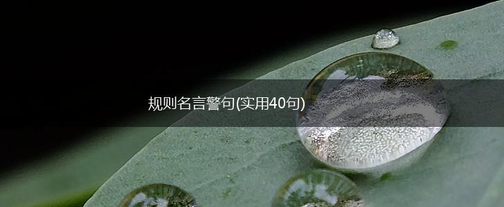 规则名言警句(实用40句),第1张