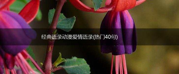 经典语录动漫爱情语录(热门40句),第1张