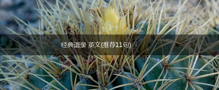 经典语录 英文(推荐11句),第1张