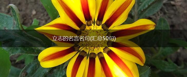 立志的名言名句(汇总50句),第1张 立志的名言名句(汇总50句),第1张