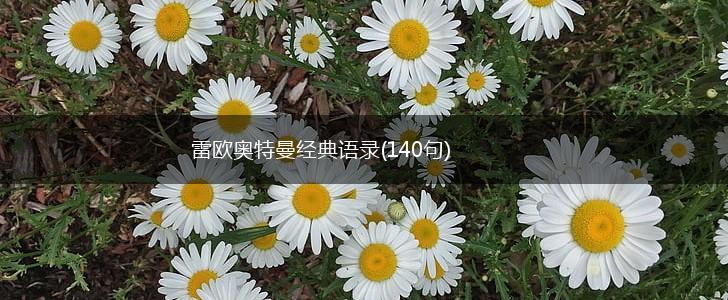 雷欧奥特曼经典语录(140句),第1张