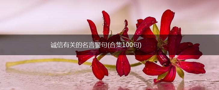 诚信有关的名言警句(合集100句),第1张