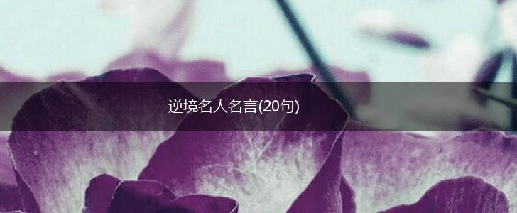 逆境名人名言(20句),第1张 逆境名人名言(20句),第1张