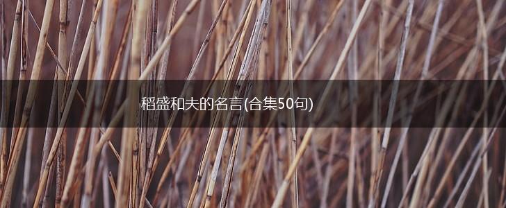 稻盛和夫的名言(合集50句),第1张 稻盛和夫的名言(合集50句),第1张