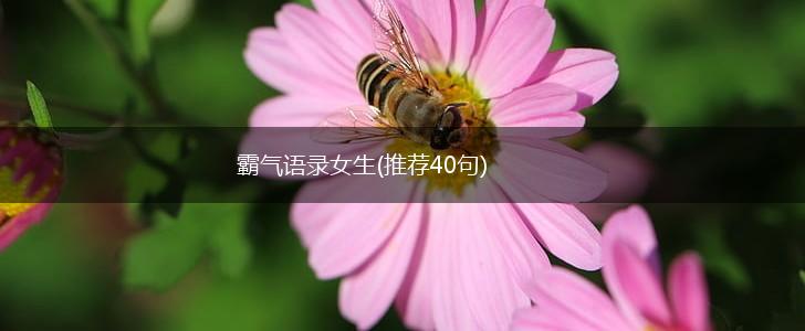 霸气语录女生(推荐40句),第1张