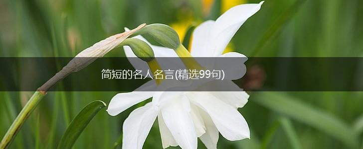 简短的名人名言(精选99句),第1张