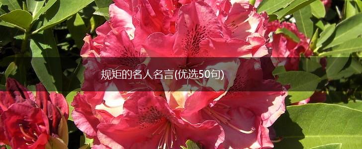 规矩的名人名言(优选50句),第1张